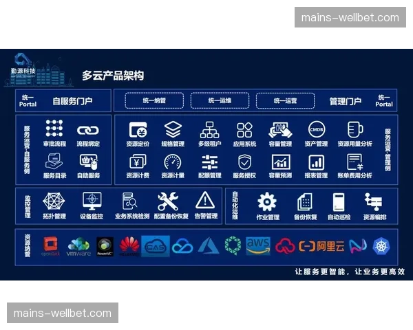 多云协同分发模式成为首选 规避单云供应商风险